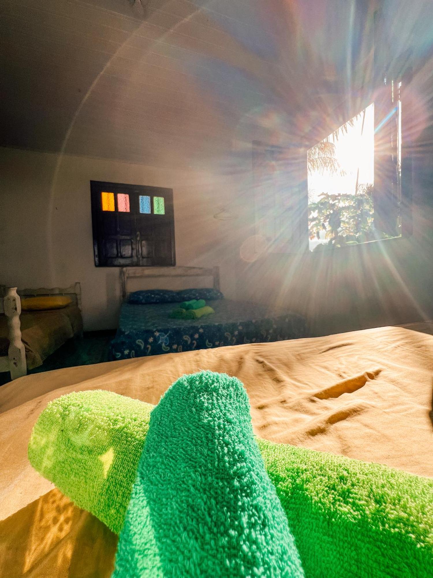 Hostel Zen - Casa Na Floresta Itacaré Eksteriør billede
