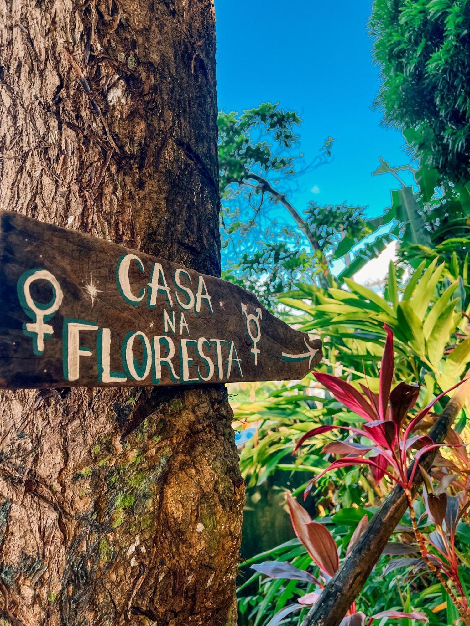 Hostel Zen - Casa Na Floresta Itacaré Eksteriør billede