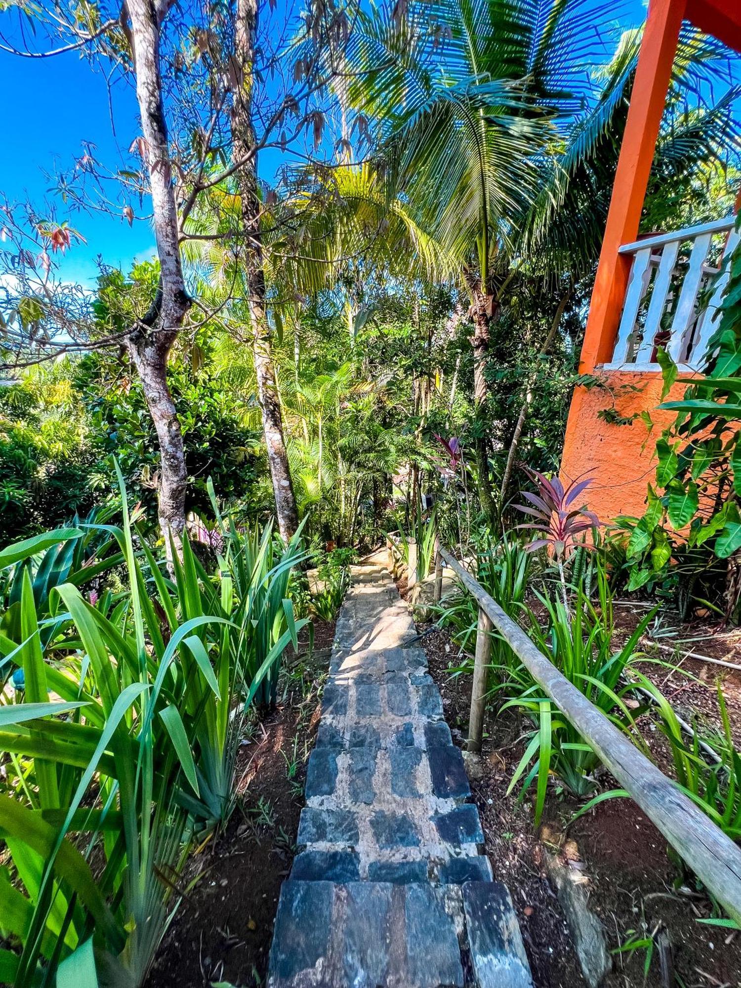 Hostel Zen - Casa Na Floresta Itacaré Eksteriør billede