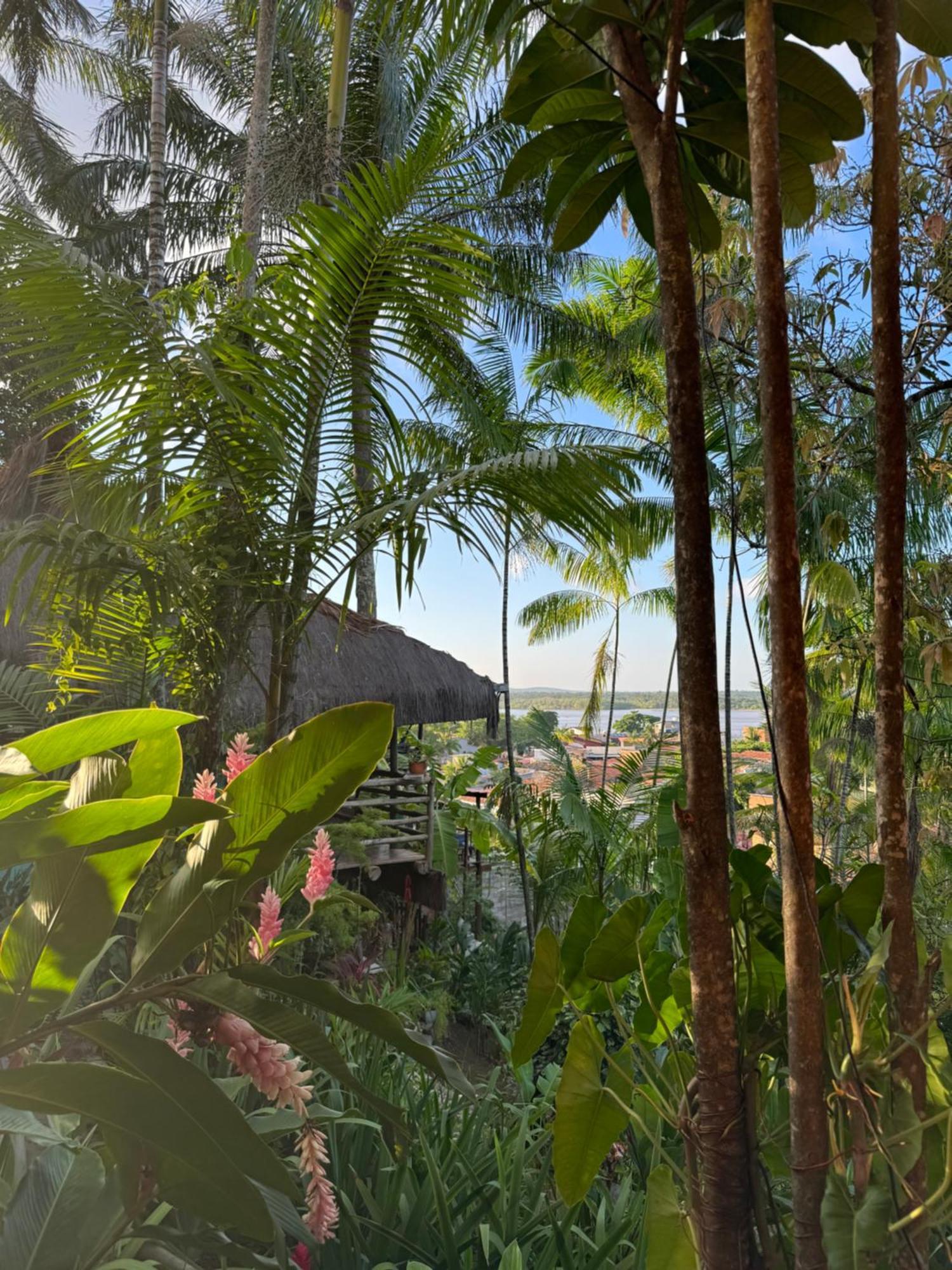 Hostel Zen - Casa Na Floresta Itacaré Eksteriør billede