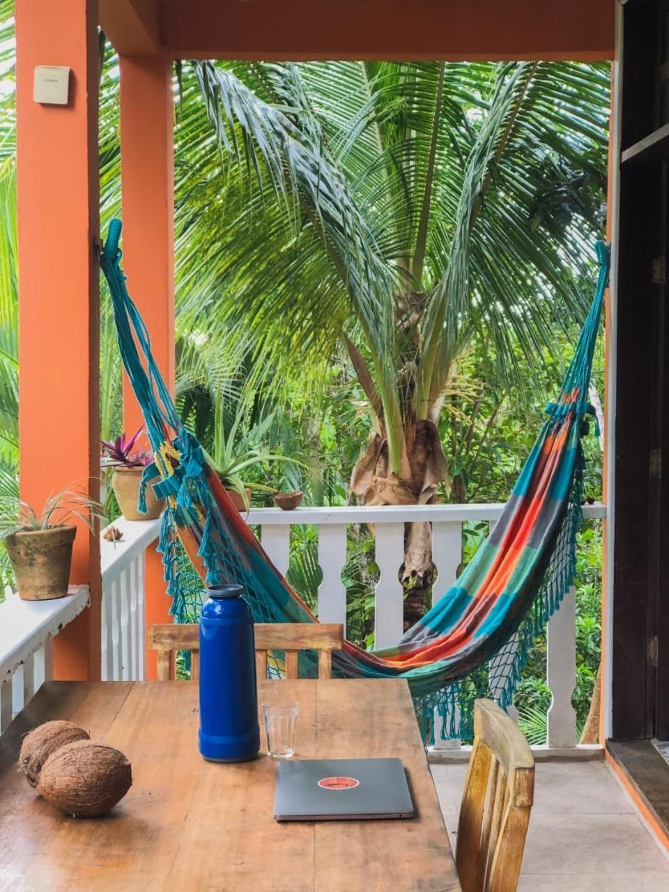 Hostel Zen - Casa Na Floresta Itacaré Eksteriør billede